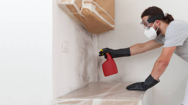 Professional Mold Removal technician working in Victoria, VA