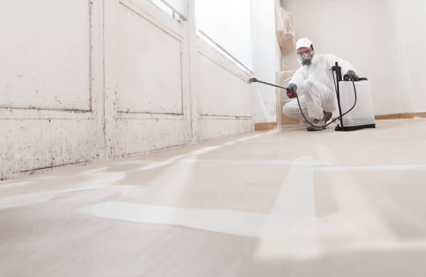 Trusted Mold Removal service in Victoria, VA - WQB Mold Removal