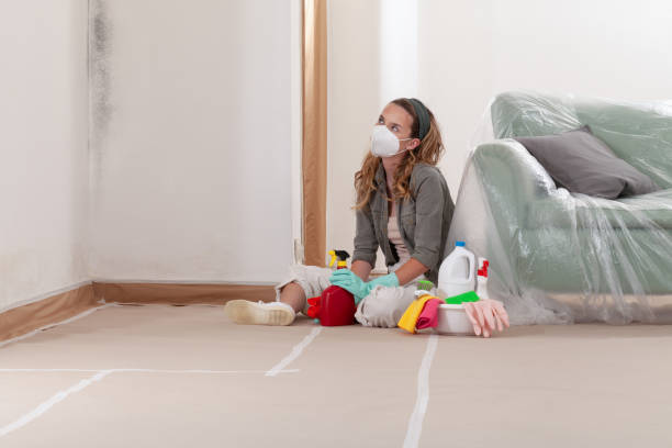Reliable Mold Removal contractor in Victoria, VA by WQB Mold Removal