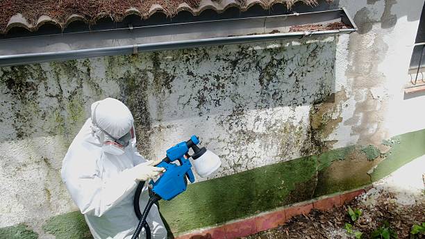 Top rated local Mold Removal specialists in Victoria, VA